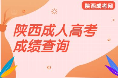 陜西成人高考成績查詢