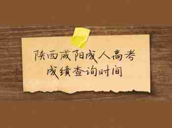 陜西咸陽(yáng)成人高考成績(jī)查詢時(shí)間