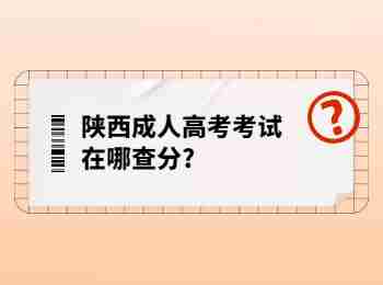 陜西成人高考考試在哪查分?