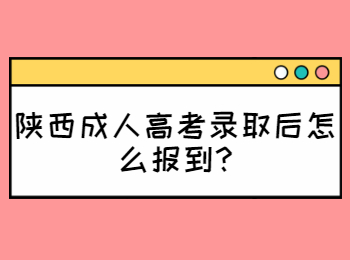 陜西成人高考錄取后怎么報(bào)到?