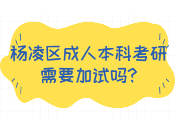 楊凌區(qū)成人本科考研需要加試嗎