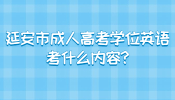 延安市成人高考學位英語考什么內容