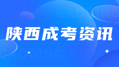 陜西成人高考可以選擇不考英語嗎？