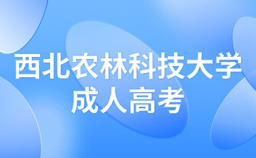 西北農(nóng)林科技大學(xué)成人高考學(xué)歷能考編嗎？