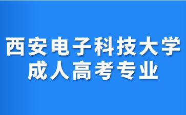 2024年西安電子科技大學成人高考專業(yè)