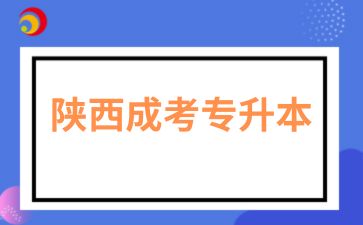 2025年陜西成人高考專升本專業(yè)有哪些